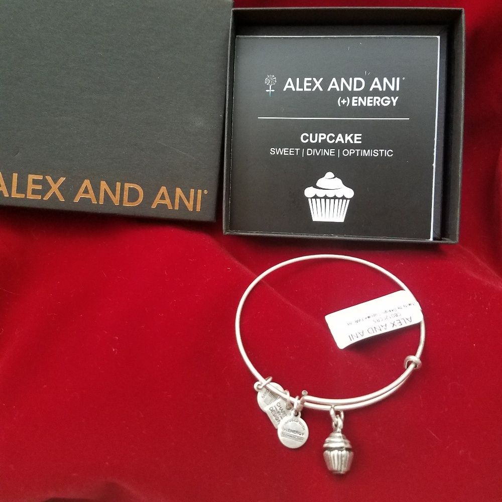 Alex and Ani charm bracelet